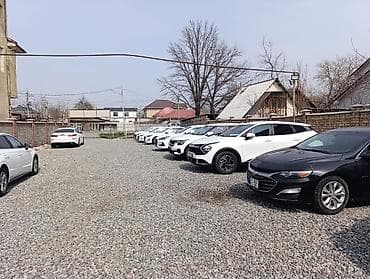 логвиненко киевская: 11 соток, Для бизнеса, Красная книга, Тех паспорт, Договор купли-продажи — 5