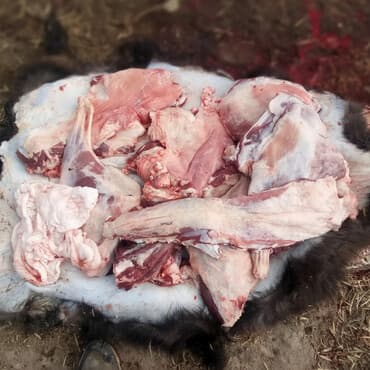 Баранина at lalafo.kg Баранина