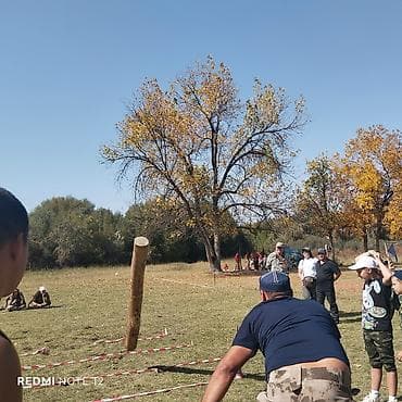 японские мопеды купить: Классический мотоцикл Ява, 250 куб. см, Бензин, Взрослый, Новый — 7