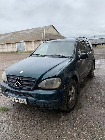 Mercedes-Benz ML-Class: 1999 г., 3.2 л, Автомат, Бензин, Кроссовер