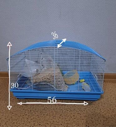 клетки для хомяков бишкек: Продаю клетку + 5 кг древесного наполнителя длина 56 см ширина 30 см — 1