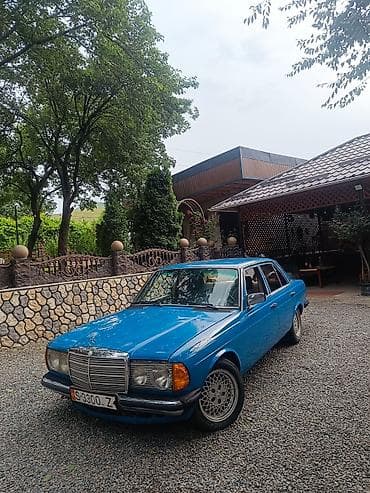 купить дизельный mercedes: Mercedes-Benz W123: 1983 г., 3 л, Механика, Дизель, Седан — 4
