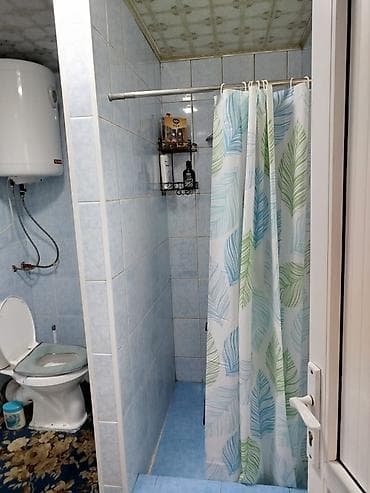 санузла: Дом с двором и благоустроенными постройками. - Уютный санузел — 4