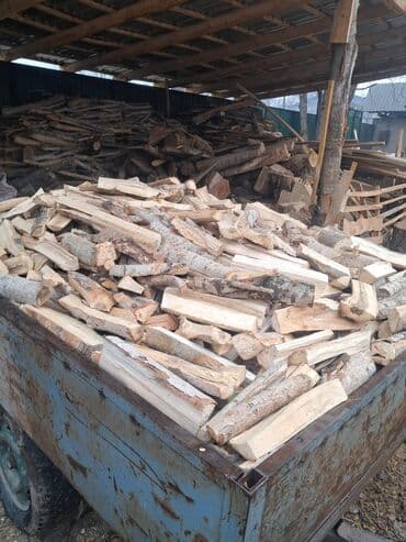 купить шкаф пенал бу: Дрова Бесплатная доставка — 3