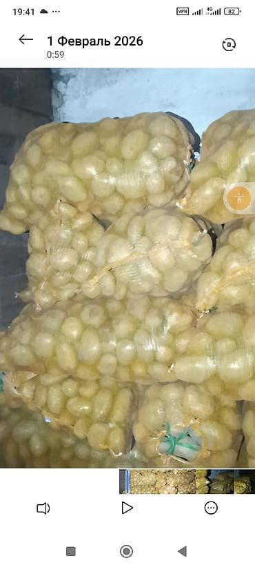 Ягоды: Картошка — 1