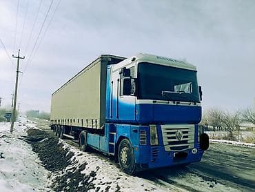 прицеп скиф купить: Тягач, Renault, 2003 г., Шторный — 1