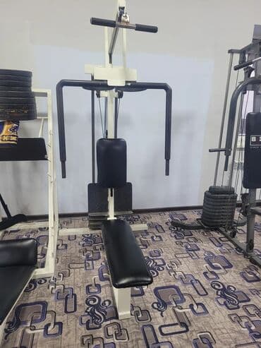 кастюм мишка: Силовой тренажер, Для груди — 4