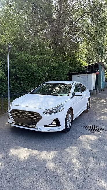дверь сапог: Hyundai Sonata: 2021 г., 2 л, Автомат, Газ, Седан — 9