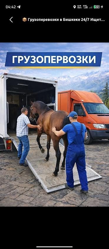 газ 13 чайка: Грузоперевозки фургон Mercedes‑Benz 
та — 1