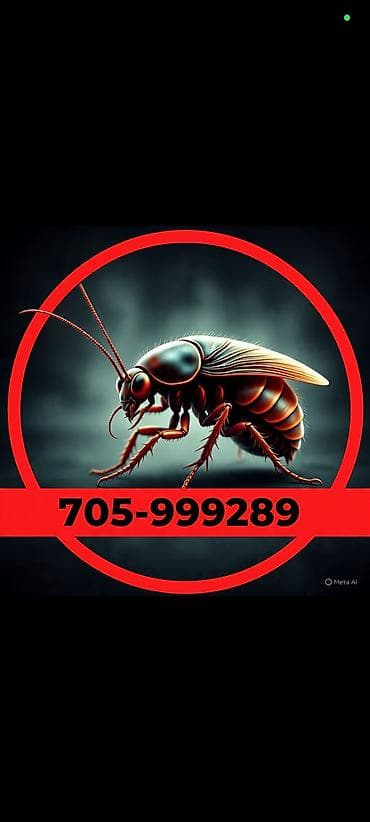 Делить кухню с непрошенными гостями! 🪳🚫 ​Надоело включать свет и