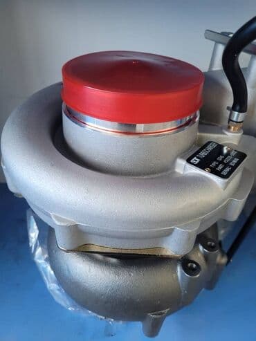 daf: Турбина DAF Новый, ОАЭ — 1