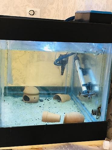 сколько стоят клетки для хомяков: Аквариум полный комплект Комплект состоит из Аквариума на 102литра — 2