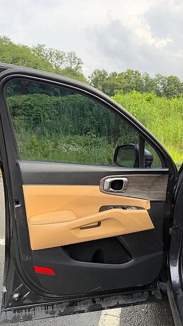 6: Kia Sorento: 2021 г., 1.6 л, Автомат, Электромобиль, Кроссовер — 9