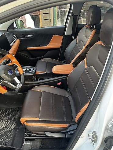 tesla 3: BYD — салон автомобиля (интерьер, комплектация) - Цветовая схема — 2