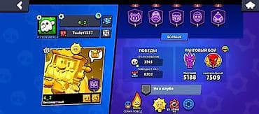 3d проектор: Аккаунт Brawl Stars Основное: - Путь к славе: 76 649 трофеев (рекорд — 2