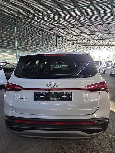 шины карнивал: Hyundai Santa Fe: 2022 г., 2.2 л, Автомат, Дизель, Кроссовер — 6