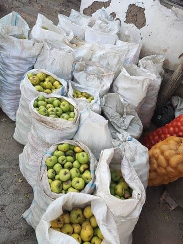 превосходный сорт яблок: Яблоки — 1