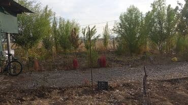 дом жер там: Времянка, 50 м², 2 комнаты, Собственник — 5