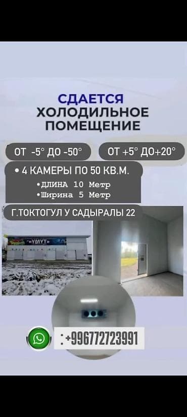 Недвижимость: Сдается холодильное помещение в логистическом центре «Умут» — 2