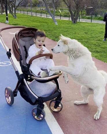 временная: Требуется Няня Полный рабочий день — 1