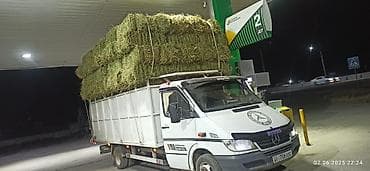 sprinter 4x4: Грузовик, Mercedes-Benz — 2