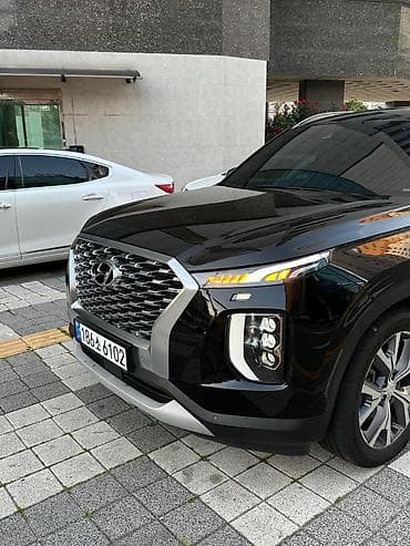 range river: Hyundai Palisade: 2020 г., 2.2 л, Автомат, Дизель, Внедорожник — 7