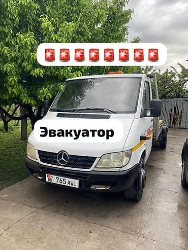 весы авто: С лебедкой, С манипулятором, Со сдвижной платформой — 1