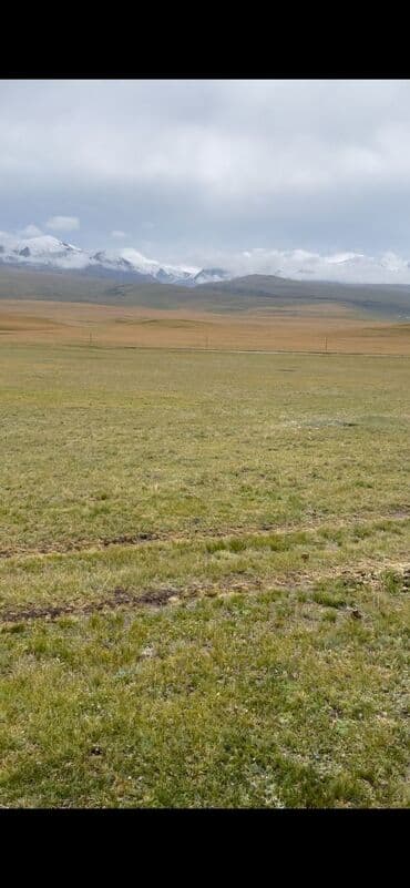 Сарай сатылат ысыккол, сарыджаз . 30 соток Кызыл китеп . Жайыт