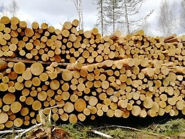 стропила тополь: Доски, Строганные, Для строительства, Сосна — 4