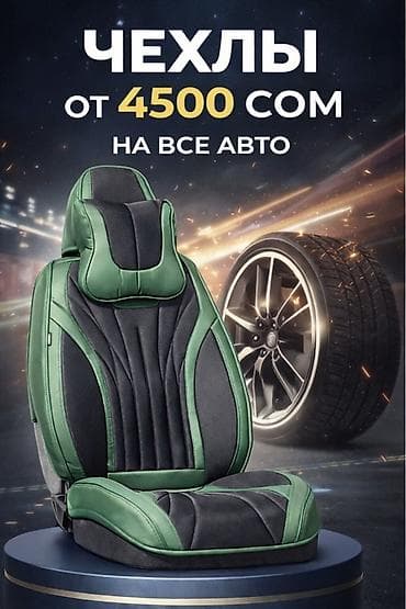 Аксессуарлар жана тюнинг: Чехолдор — 1