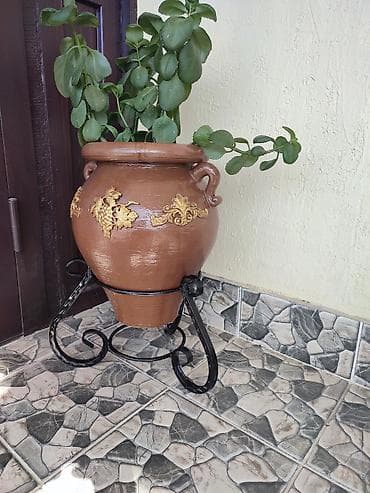 слива фрукты: Декоративные улично-комнатные кашпо на кованых подставках - Материал — 2