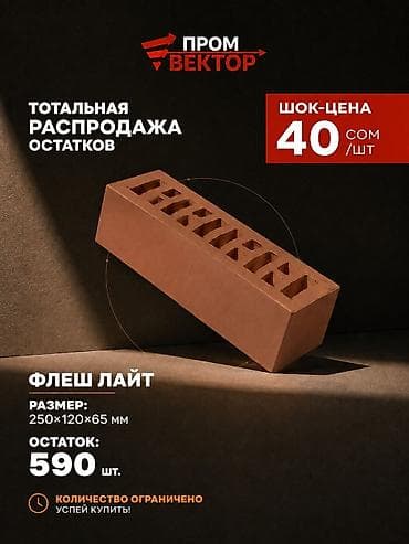 Керамический, Рифленый, Пустотелый, дырчатый кирпич, Одинарный, 250×120×65 — 3