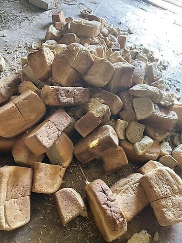 животные: Хлеб для коров Быков баран В мешке где то 40-45 булок, адрес с — 1