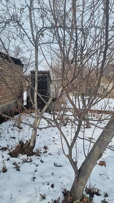 продою участок: 4500 соток, Для сельского хозяйства — 1