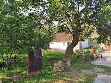ххх квартира: Срочно Срочно Срочно Продается дом29 соток есть также времянка — 8