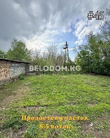 8 соток