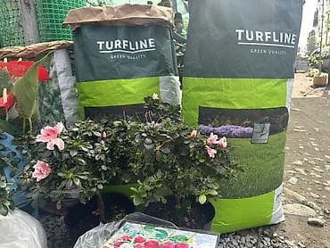Газонная трава TURFLINE (Green Quality) - Профессиональная смесь для