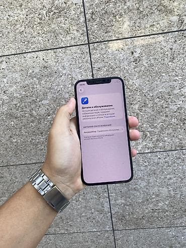 IPhone 12 Pro, Колдонулган, 128 ГБ, Space Gray, Коргоочу айнек, Каптама, Куту, 73 % — 3