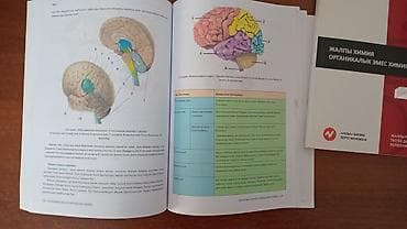 химия 9 класс кыргызча скачать: Учебные пособия для подготовки к тестированию (кыргызыязычные издания — 1