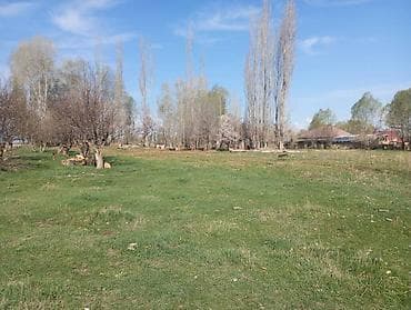 участка сатылат: 50 соток, Айыл чарба үчүн, Кызыл китеп — 3