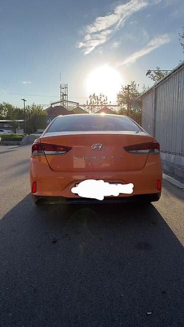 форд раптор ф 150: Hyundai Sonata: 2019 г., 2 л, Автомат, Газ, Седан — 4