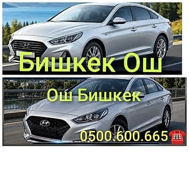 игрушка эшек: Бишкек Ош Бишкек Ош Бишкек Ош Бишкек Ош Бишкек Ош Бишкек Ош Бишкек Ош — 1