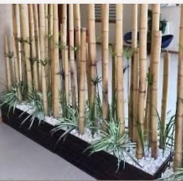 Бамбук: Бамбуковые палки для сада и декора. Иссык - Куль. Длина 3, 50 метра до — 8