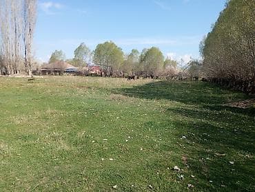 Недвижимость: 30 соток, Для строительства — 4