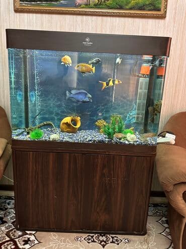 Продается аквариум 200 литров в отличном состоянии