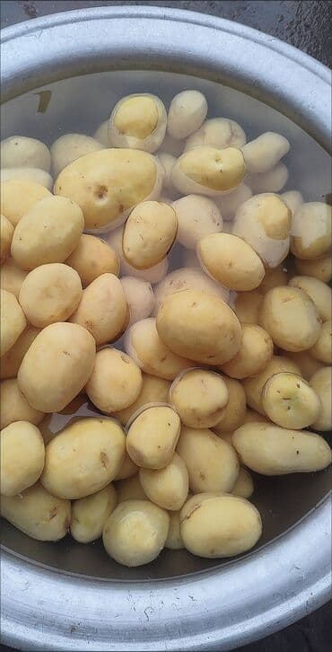 аппарат для напиток: Срочно жарым баасына сатылат. гаМашина для чистки картофелья. новый — 4