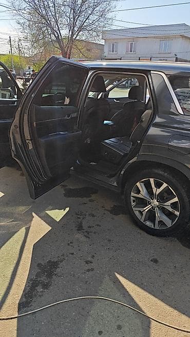 neta u pro: Hyundai Palisade: 2020 г., 2.2 л, Автомат, Дизель, Кроссовер — 5