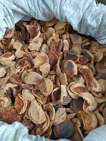 сухой смесь: Домашний Как сатылат. оруктуку — 2