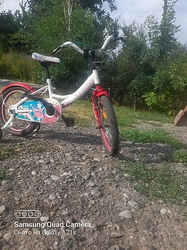 детские обуви в бишкеке: Детский велосипед, 2-колесный, 4 - 6 лет, Для девочки, Б/у — 5