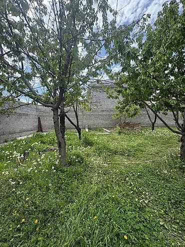 цены в бишкеке: 6 соток, Для строительства, Тех паспорт, Красная книга, Договор купли-продажи — 4